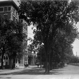 rue Maria et les appartements Roxborough à Ottawa en 1900