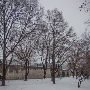 Confederation Park and the concrete wall